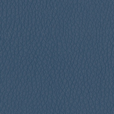 Grade C - Dillon Ocean